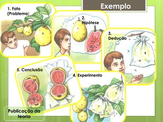 1. Fato
(Problema)
2.
Hipótese
3.
Dedução
4. Experimento
5. Conclusão
Publicação da
teoria
Exemplo
 