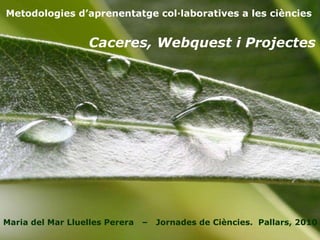 Metodologies d’aprenentatge col·laboratives a les ciències Maria del Mar Lluelles Perera  –  Jornades de Ciències.  Pallars, 2010 Caceres, Webquest i Projectes 