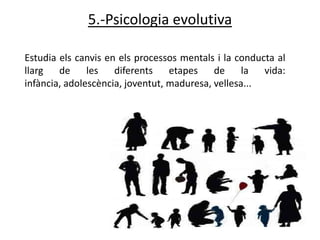 5.-Psicologia evolutiva

Estudia els canvis en els processos mentals i la conducta al
llarg   de     les   diferents    etapes    de     la  vida:
infància, adolescència, joventut, maduresa, vellesa...
 