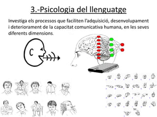 3.-Psicologia del llenguatge
Investiga els processos que faciliten l’adquisició, desenvolupament
i deteriorament de la capacitat comunicativa humana, en les seves
diferents dimensions.
 
