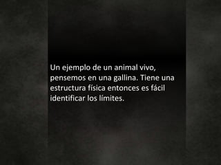 Un ejemplo de un animal vivo,
pensemos en una gallina. Tiene una
estructura física entonces es fácil
identificar los límites.
 