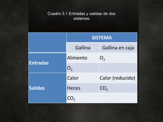 Cuadro 3.1 Entradas y salidas de dos
sistemas
SISTEMA
Gallina Gallina en caja
Entradas
Alimento O2
O2
Salidas
Calor Calor (reducido)
Heces CO2
CO2
 