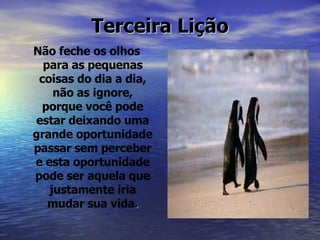 Terceira Lição Não feche os olhos para as pequenas coisas do dia a dia, não as ignore, porque você pode estar deixando uma grande oportunidade passar sem perceber e esta oportunidade pode ser aquela que justamente iria mudar sua vida . 