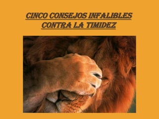 CINCO CONSEJOS INFALIBLES
    CONTRA LA TIMIDEZ
 