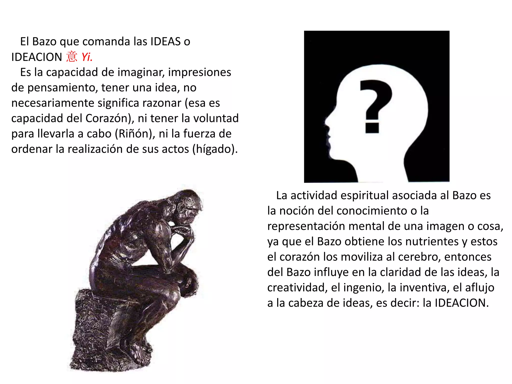 El Bazo que comanda las IDEAS o
IDEACION 意 Yi.
Es la capacidad de imaginar, impresiones
de pensamiento, tener una idea, no
necesariamente significa razonar (esa es
capacidad del Corazón), ni tener la voluntad
para llevarla a cabo (Riñón), ni la fuerza de
ordenar la realización de sus actos (hígado).
La actividad espiritual asociada al Bazo es
la noción del conocimiento o la
representación mental de una imagen o cosa,
ya que el Bazo obtiene los nutrientes y estos
el corazón los moviliza al cerebro, entonces
del Bazo influye en la claridad de las ideas, la
creatividad, el ingenio, la inventiva, el aflujo
a la cabeza de ideas, es decir: la IDEACION.
 
