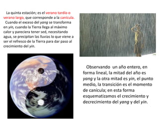 La quinta estación; es el verano tardío o
verano largo, que corresponde a la canícula.
Cuando el exceso del yang se transforma
en yin, cuando la Tierra llega al máximo
calor y pareciera tener sed, necesitando
agua, se precipitan las lluvias lo que viene a
ser el refresco de la Tierra para dar paso al
crecimiento del yin.
Observando un año entero, en
forma lineal, la mitad del año es
yang y la otra mitad es yin, el punto
medio, la transición es el momento
de canícula; en esta forma
esquematizamos el crecimiento y
decrecimiento del yang y del yin.
 