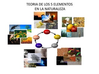 TEORIA DE LOS 5 ELEMENTOS
EN LA NATURALEZA
 
