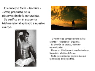 El concepto Cielo – Hombre -
Tierra, producto de la
observación de la naturaleza.
Se verifica en el esquema
tridimensional aplicado a nuestro
cuerpo.
El hombre se compone de la esfera
Mental – Fisiológica – Orgánica.
La división de cabeza, tronco y
extremidades.
El cuerpo dividido en tres calentadores:
Superior - Medio e Inferior.
Cada extremidad de nuestro cuerpo
también se divide en tres.
 