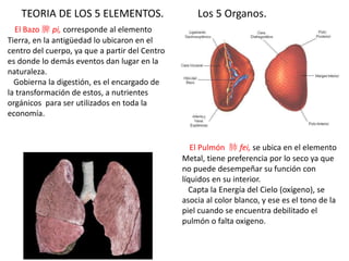 El Bazo 脾 pi, corresponde al elemento
Tierra, en la antigüedad lo ubicaron en el
centro del cuerpo, ya que a partir del Centro
es donde lo demás eventos dan lugar en la
naturaleza.
Gobierna la digestión, es el encargado de
la transformación de estos, a nutrientes
orgánicos para ser utilizados en toda la
economía.
El Pulmón 肺 fei, se ubica en el elemento
Metal, tiene preferencia por lo seco ya que
no puede desempeñar su función con
líquidos en su interior.
Capta la Energía del Cielo (oxígeno), se
asocia al color blanco, y ese es el tono de la
piel cuando se encuentra debilitado el
pulmón o falta oxigeno.
TEORIA DE LOS 5 ELEMENTOS. Los 5 Organos.
 