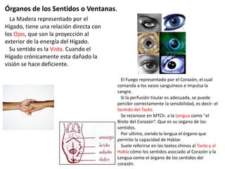 La Madera representado por el
Hígado, tiene una relación directa con
los Ojos, que son la proyección al
exterior de la energía del Hígado.
Su sentido es la Vista. Cuando el
Hígado crónicamente esta dañado la
visión se hace deficiente.
El Fuego representado por el Corazón, el cual
comanda a los vasos sanguíneos e impulsa la
sangre.
Si la perfusión tisular es adecuada, se puede
percibir correctamente la sensibilidad, es decir: el
Sentido del Tacto.
Se reconoce en MTCh. a la Lengua como "el
Brote del Corazón“. Que es su organo de los
sentidos.
Por ultimo, siendo la lengua el órgano que
permite la capacidad de Hablar.
Suele referirse en los textos chinos al Tacto y al
Habla cómo los sentidos asociado al Corazón y la
Lengua como el órgano de los sentidos del
corazón.
Órganos de los Sentidos o Ventanas.
 