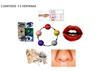5 SENTIDOS Y 5 VENTANAS
 