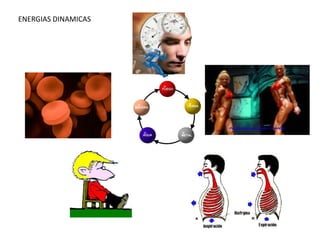 ENERGIAS DINAMICAS
 