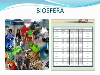 BIOSFERA
