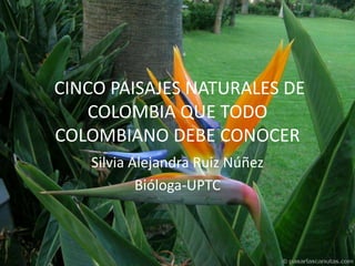 CINCO PAISAJES NATURALES DE COLOMBIA QUE TODO COLOMBIANO DEBE CONOCER Silvia Alejandra Ruiz Núñez Bióloga-UPTC 