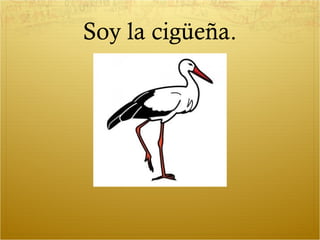 Soy la cigüeña.
 