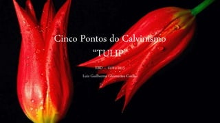 Cinco Pontos do Calvinismo
“TULIP”
EBD – 11/01/2015
Luiz Guilherme Guimarães Coelho
 