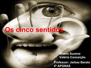 Os cinco sentidos Milena Sucena Valéria Conceição Professor: Jarbas Barato 4º APGNAS 