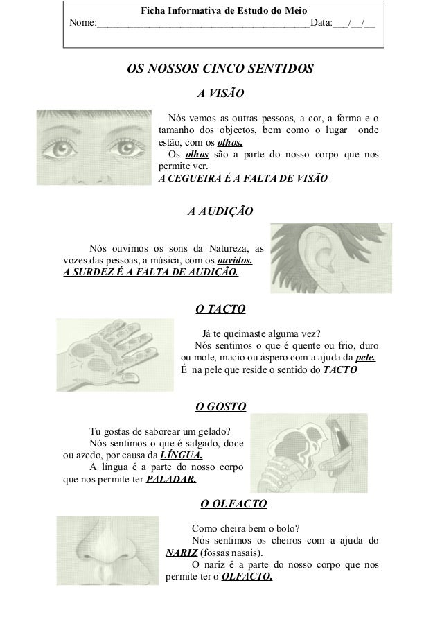 OS NOSSOS CINCO SENTIDOS
A VISÃO
Nós vemos as outras pessoas, a cor, a forma e o
tamanho dos objectos, bem como o lugar on...
