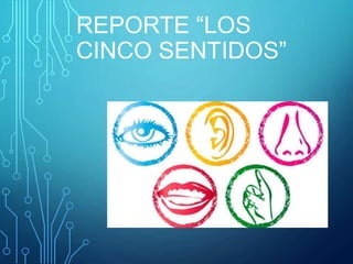 REPORTE “LOS
CINCO SENTIDOS”
 