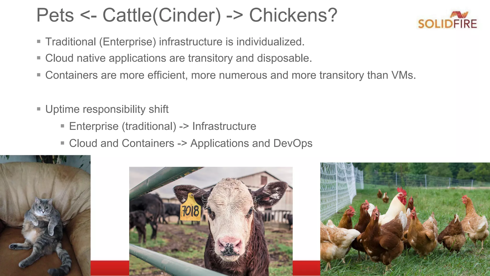 Pets <- Cattle(Cinder) -> Chickens?
§  Traditional (Enterprise) infrastructure is individualized.
§  Cloud native applications are transitory and disposable.
§  Containers are more efficient, more numerous and more transitory than VMs.
§  Uptime responsibility shift
§  Enterprise (traditional) -> Infrastructure
§  Cloud and Containers -> Applications and DevOps
 