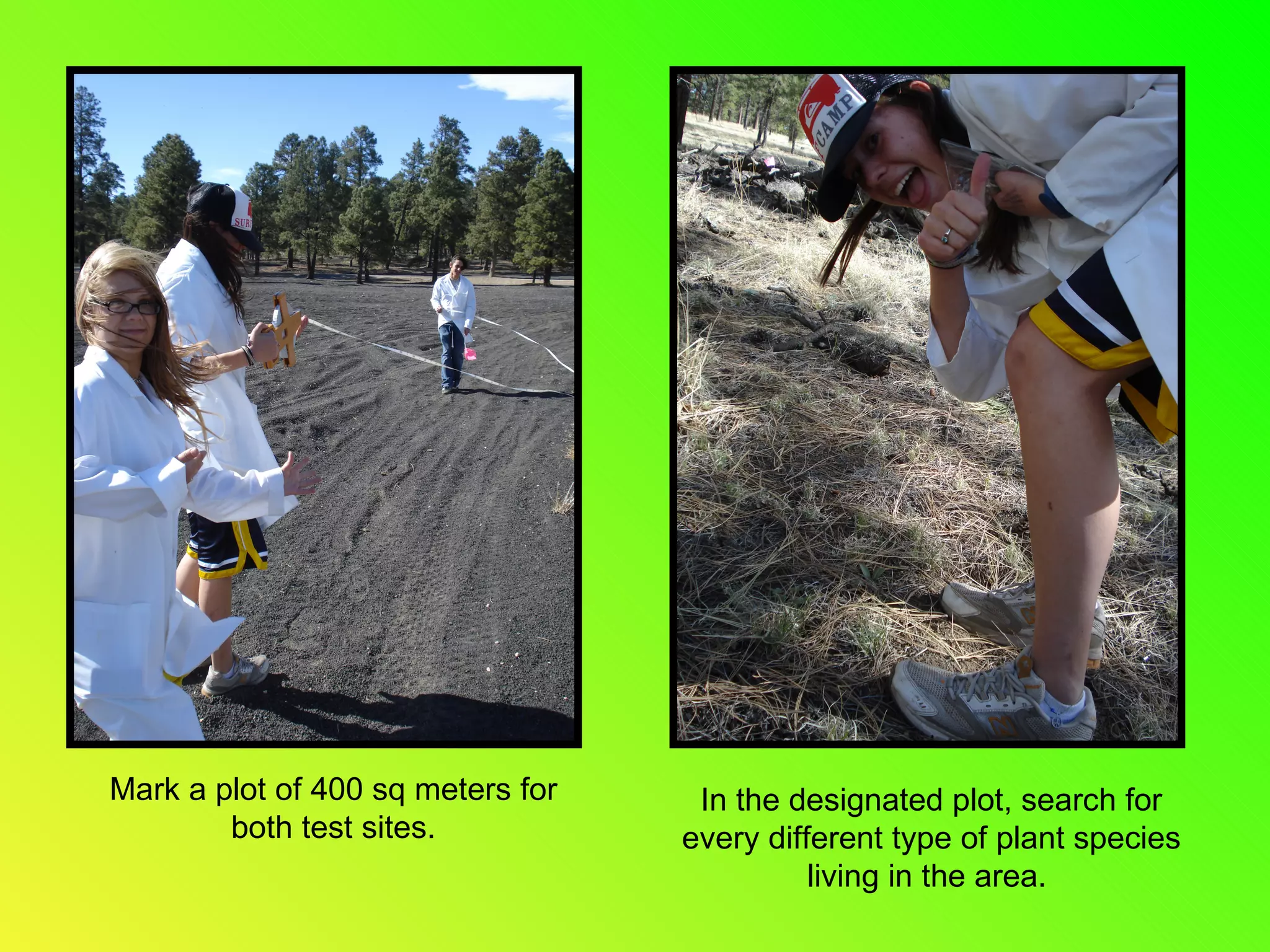 Mark a plot of 400 sq meters for both test sites. In the designated plot, search for every different type of plant species living in the area.