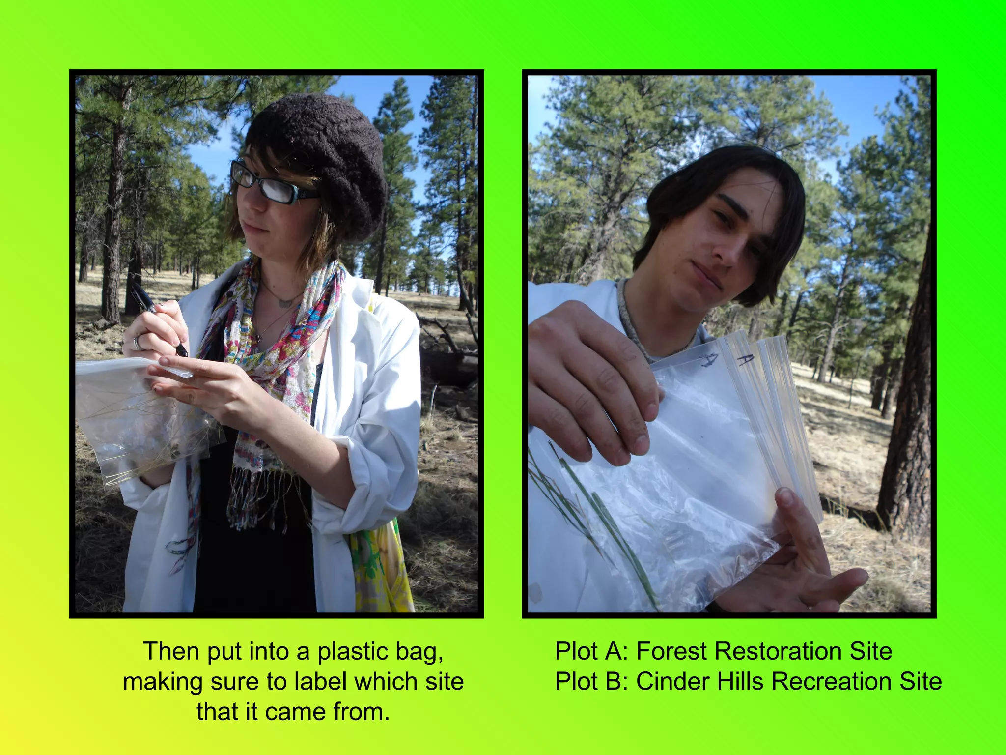 Then put into a plastic bag, making sure to label which site that it came from. Plot A: Forest Restoration Site Plot B: Cinder Hills Recreation Site