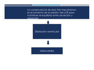 La consecuencia de esos tres mecanismos 
es el aumento de la presión del LCR para 
mantener el equilibrio entre secreción y 
absorción 
Dilatación ventricular 
Hidrocefalia 
 