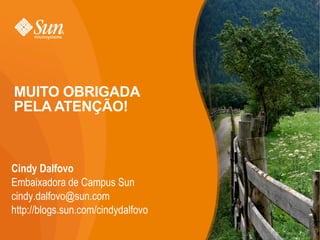 Determina, controla e  e resolve dependências 