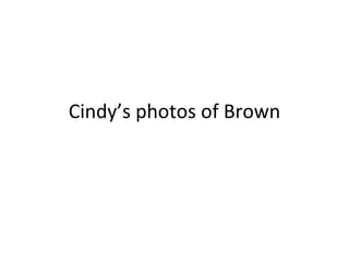 Cindy’s photos of Brown 