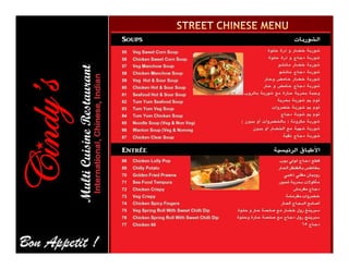 Cindys profile new 2017-rev1