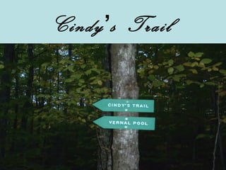 Cindy’s Trail
 