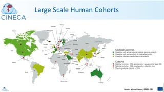 CINECA webinar slides: Data Gravity in the Life Sciences: Lessons learned from the Human Cell Atlas and other federated data projects