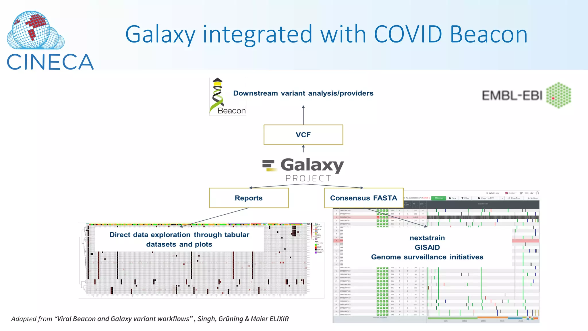 Galaxy integrated with COVID Beacon
Adapted from “Viral Beacon and Galaxy variant workflows” , Singh, Grüning & Maier ELIXIR
 