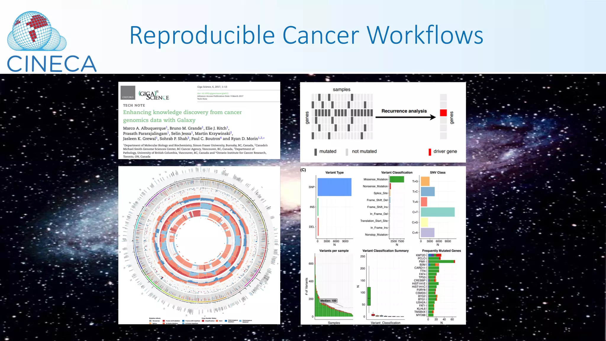 Reproducible Cancer Workflows
 