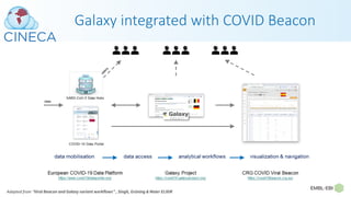 Galaxy integrated with COVID Beacon
Adapted from “Viral Beacon and Galaxy variant workflows” , Singh, Grüning & Maier ELIXIR
 
