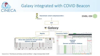 Galaxy integrated with COVID Beacon
Adapted from “Viral Beacon and Galaxy variant workflows” , Singh, Grüning & Maier ELIXIR
 