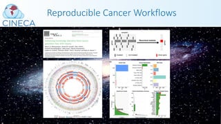 Reproducible Cancer Workflows
 