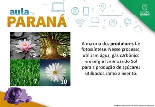 A maioria dos produtores faz
fotossíntese. Nesse processo,
utilizam água, gás carbônico
e energia luminosa do Sol
para a produção de açúcares
utilizados como alimento.
7
6
3
10
Imagens disponíveis em: https://pixabay.com/pt/
 