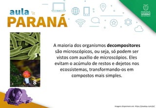 8
5
A maioria dos organismos decompositores
são microscópicos, ou seja, só podem ser
vistos com auxílio de microscópios. Eles
evitam o acúmulo de restos e dejetos nos
ecossistemas, transformando-os em
compostos mais simples.
Imagens disponíveis em: https://pixabay.com/pt/
 