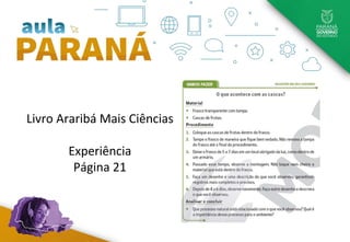 Livro Araribá Mais Ciências
Experiência
Página 21
 