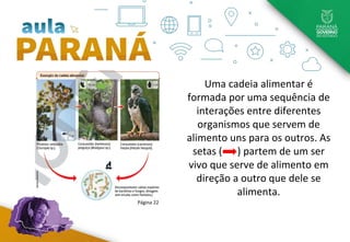 Uma cadeia alimentar é
formada por uma sequência de
interações entre diferentes
organismos que servem de
alimento uns para os outros. As
setas ( ) partem de um ser
vivo que serve de alimento em
direção a outro que dele se
alimenta.
Página 22
 