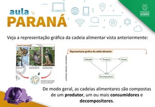 Veja a representação gráfica da cadeia alimentar vista anteriormente:
De modo geral, as cadeias alimentares são compostas
de um produtor, um ou mais consumidores e
decompositores.
 