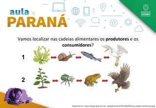 1
2
Disponível em: https://www.iped.com.br/_upload/content/2015/06/03/teias-cadeias-alimentares.jpg
Vamos localizar nas cadeias alimentares os produtores e os
consumidores?
 