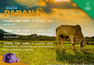 Primeiro nível trófico é ocupado pelos
produtores.
Segundo nível trófico é ocupado pelos
consumidores primários, que se alimentam
de produtores.
Terceiro nível trófico é ocupado pelos
consumidores secundários, que se alimentam
de consumidores primários.
Disponível em: https://pixabay.com/pt/photos/vaca-animal-comendo-grama-campo-2281574/
 