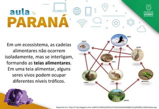 Em um ecossistema, as cadeias
alimentares não ocorrem
isoladamente, mas se interligam,
formando as teias alimentares.
Em uma teia alimentar, alguns
seres vivos podem ocupar
diferentes níveis tróficos.
Disponível em: https://2.bp.blogspot.com/-esBGV1C2dWo/VO0FAUV5VQI/AAAAAAAABj8/L0sCjd9z890/s1600/tabela.png
 