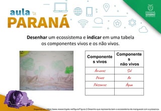 Desenhar um ecossistema e indicar em uma tabela
os componentes vivos e os não vivos.
Componente
s vivos
Componente
s
não vivos
Árvores Sol
Peixes Ar
Pássaros Água
Disponível em: https://www.researchgate.net/figure/Figura-2-Desenho-que-representa-bem-o-ecossistema-de-manguezal-com-a-presenca-
 