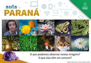 1
8
7
6
5
4
3
2
10
9
Imagens disponíveis em: https://pixabay.com/pt/
O que podemos observar nestas imagens?
O que elas têm em comum?
 