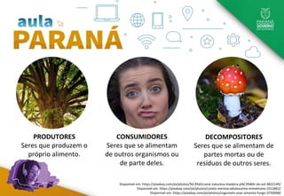 Hidrosfera é a conjunto de
todas as água do planeta. A
água está presente nos
oceanos, geleiras, rios,
lagoas, nos depósitos
subterrâneos, no ar e nos
seres vivos.
Litosfera é a camada sólida
externa da planeta. Ela é
composta de rochas e solo.
Atmosfera é a camada de
gases que envolve o planeta.
Disponível em: https://pixabay.com/pt/photos/%C3%A1rvore-natureza-madeira-p%C3%B4r-do-sol-3822149/
Disponível em: https://pixabay.com/pt/photos/careta-menina-adolescente-mimetismo-1012862/
Disponível em: https://pixabay.com/pt/photos/cogumelo-voar-amanita-fungo-3750008/
PRODUTORES
Seres que produzem o
próprio alimento.
DECOMPOSITORES
Seres que se alimentam de
partes mortas ou de
resíduos de outros seres.
CONSUMIDORES
Seres que se alimentam
de outros organismos ou
de parte deles.
 