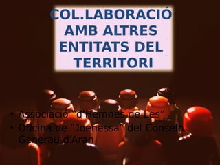 COL.LABORACIÓ
AMB ALTRES
ENTITATS DEL
TERRITORI

• Associació “d’Hemnes de Les”
• Oficina de “Joenessa” del Conselh
Generau d’Aran

 