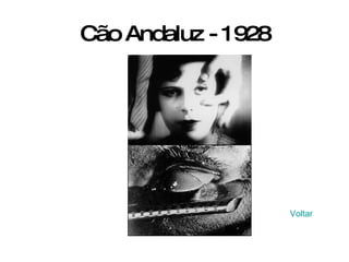 Cão Andaluz - 1928 Voltar 